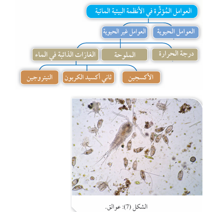 العوامل المؤثرة في الأنظمة البيئية المائية